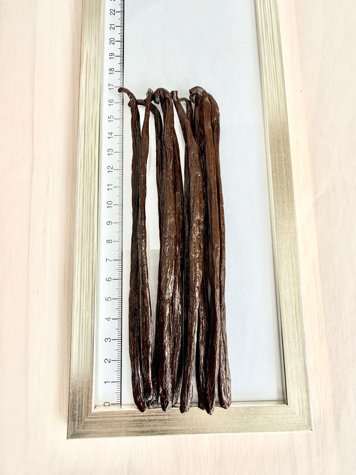 10 Bourbon-Vanilleschoten 14–17 cm Gourmet auf Messskala – klare Längen- und Qualitätsdarstellung.