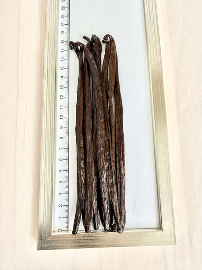 10 Bourbon-Vanilleschoten 16–18 cm aus Standbeutel auf Messskala – Premiumlänge für Privatkunden.
