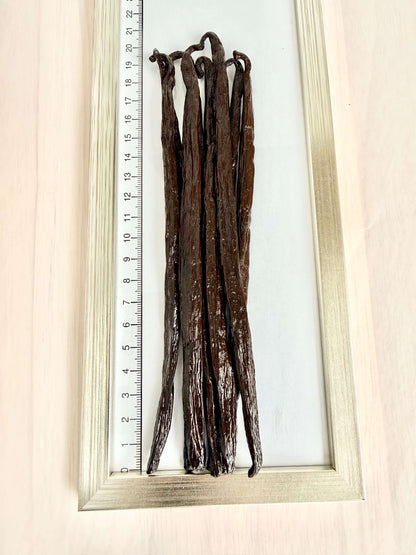 10 Bourbon-Vanilleschoten 18–20 cm im Schraubglas-Format auf Messskala – ölig und aromatisch.