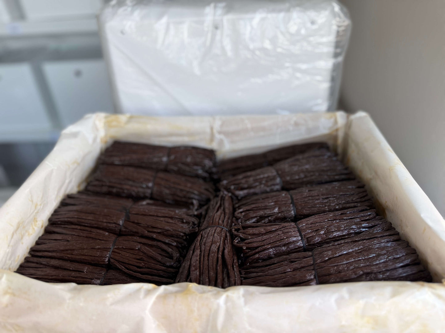 Bio_Vanilleschoten_Grosshandel