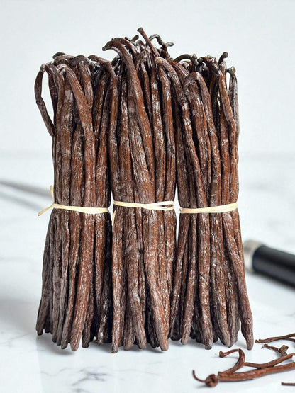Bündel Bourbon-Vanilleschoten aus Madagaskar in einheitlicher Länge – ideal für Gastronomie und gewerbliche Weiterverarbeitung.