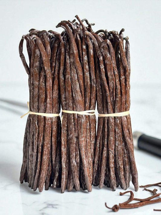 Bündel Bourbon-Vanilleschoten aus Madagaskar in einheitlicher Länge – ideal für Gastronomie und gewerbliche Weiterverarbeitung.