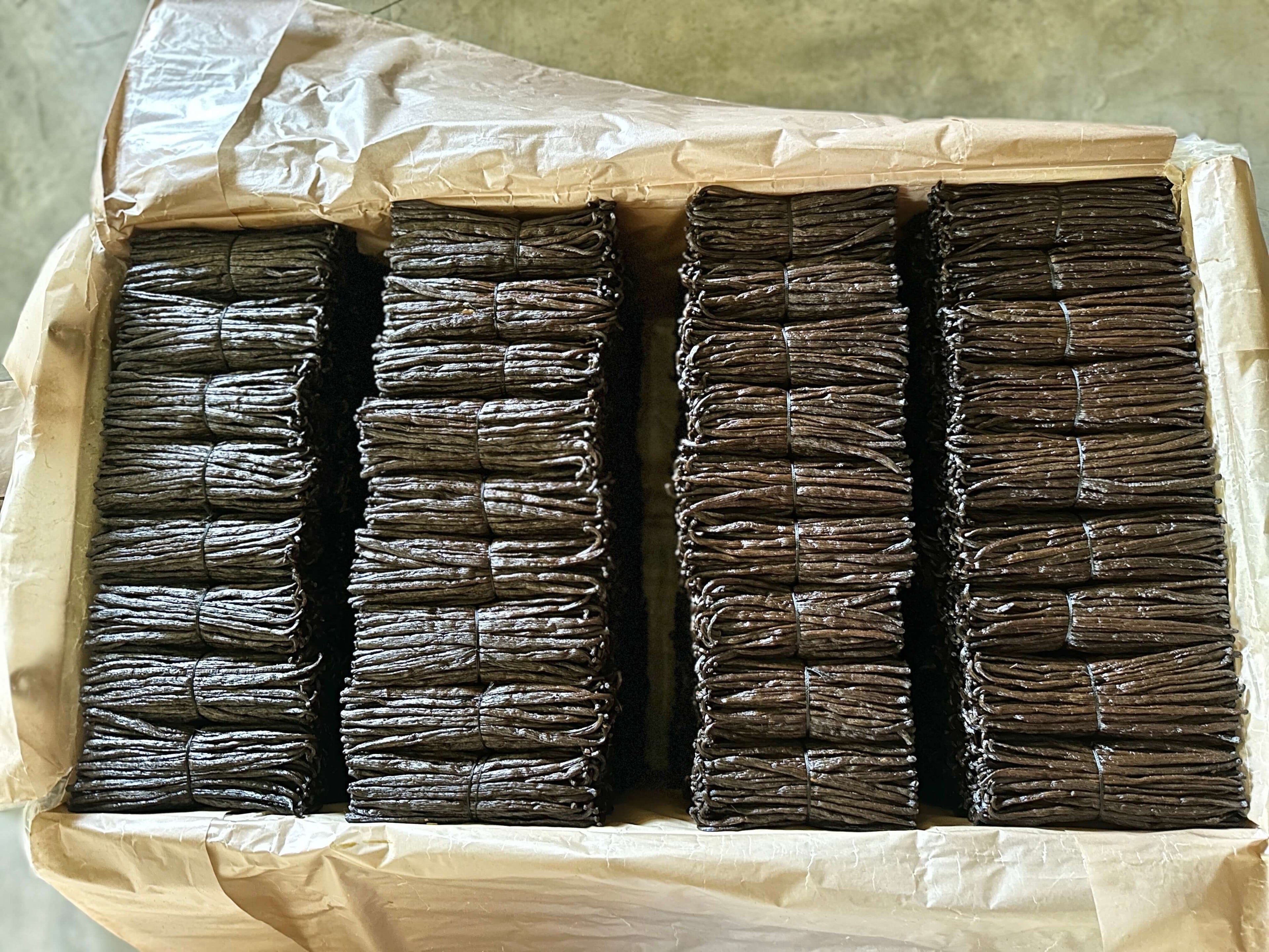 Großhandelsbündel Premium-Vanilleschoten aus Madagaskar, handverlesen und für B2B-Verwendung vorbereitet.