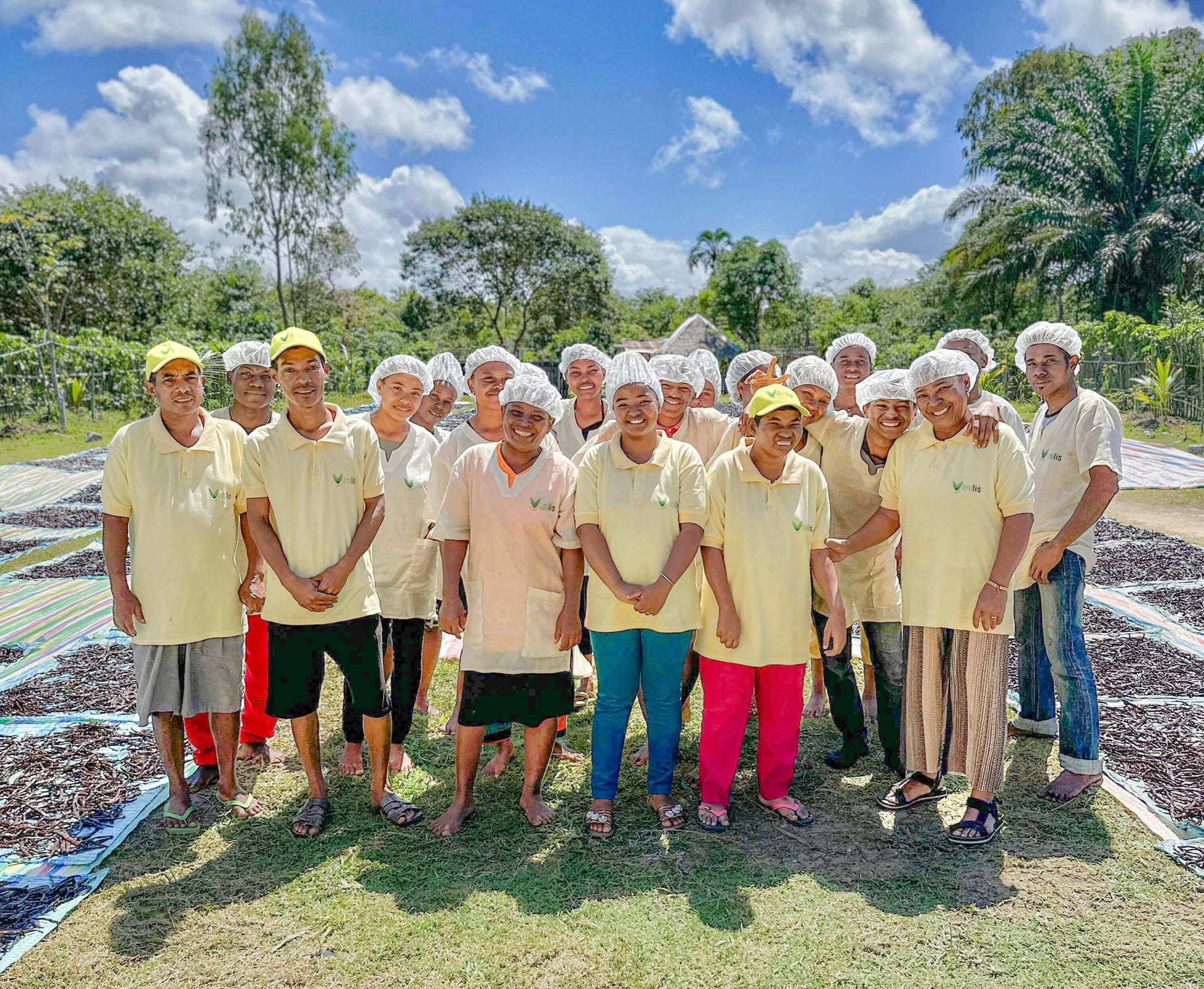 Vanilis Team präsentiert Bourbon-Vanilleschoten in der Sonnentrocknungsphase – zentraler Schritt der traditionellen Fermentation in Madagaskar