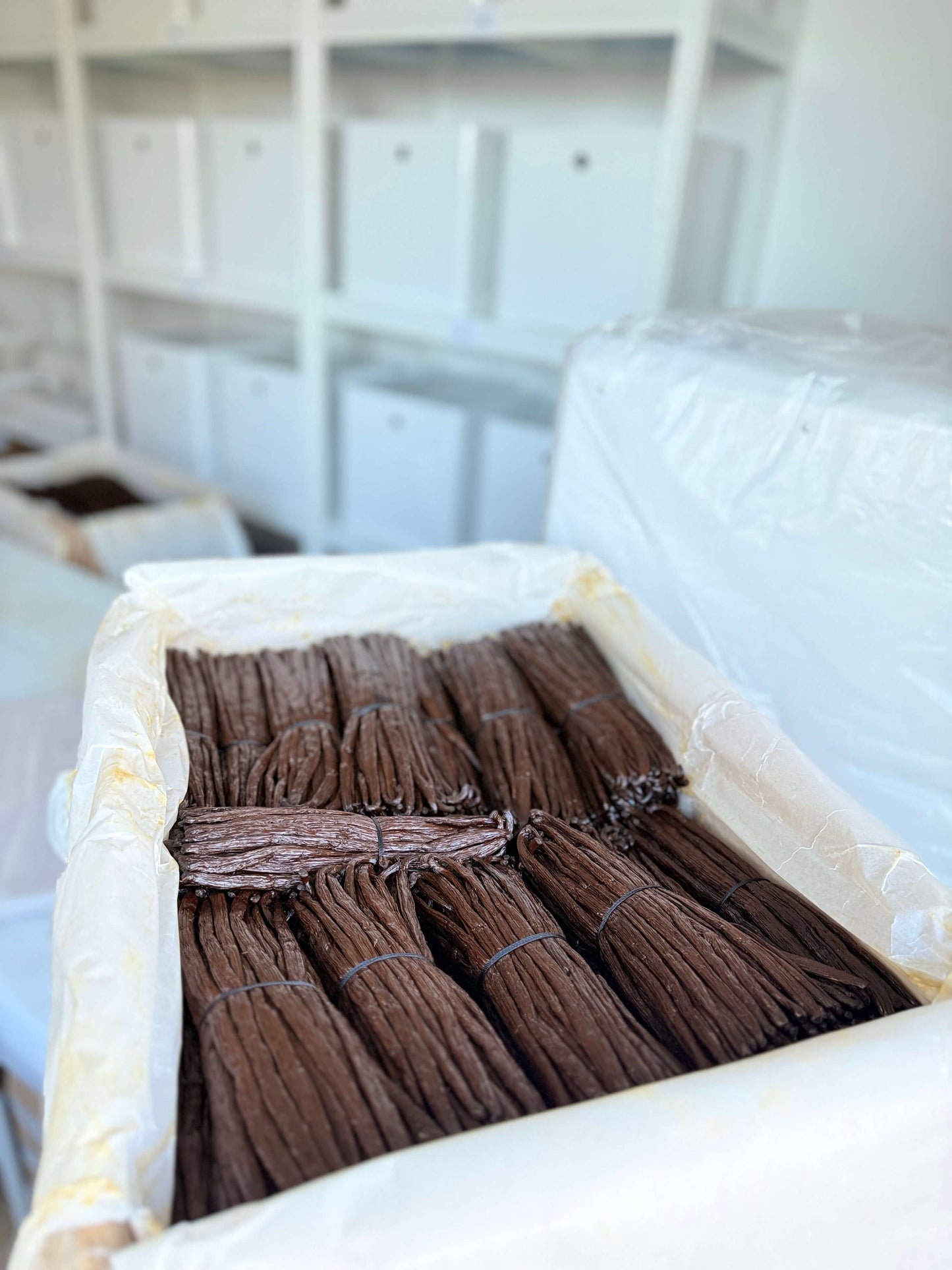 Vanille_Großpackung_kaufen