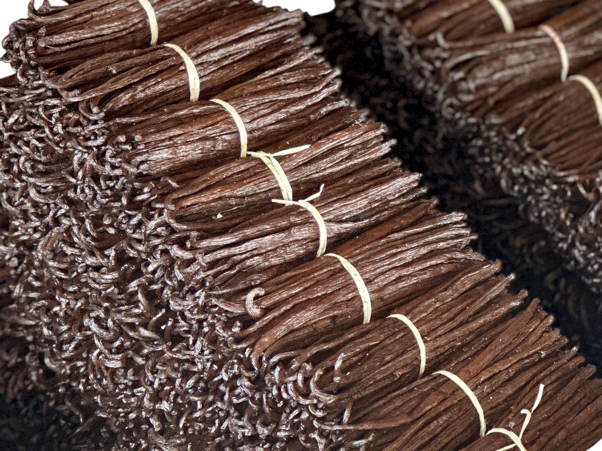 Bourbon-Vanille Großhandelsauswahl für B2B-Kunden – sortierte Qualität aus Madagaskar für Gastronomie, Produzenten und Händler