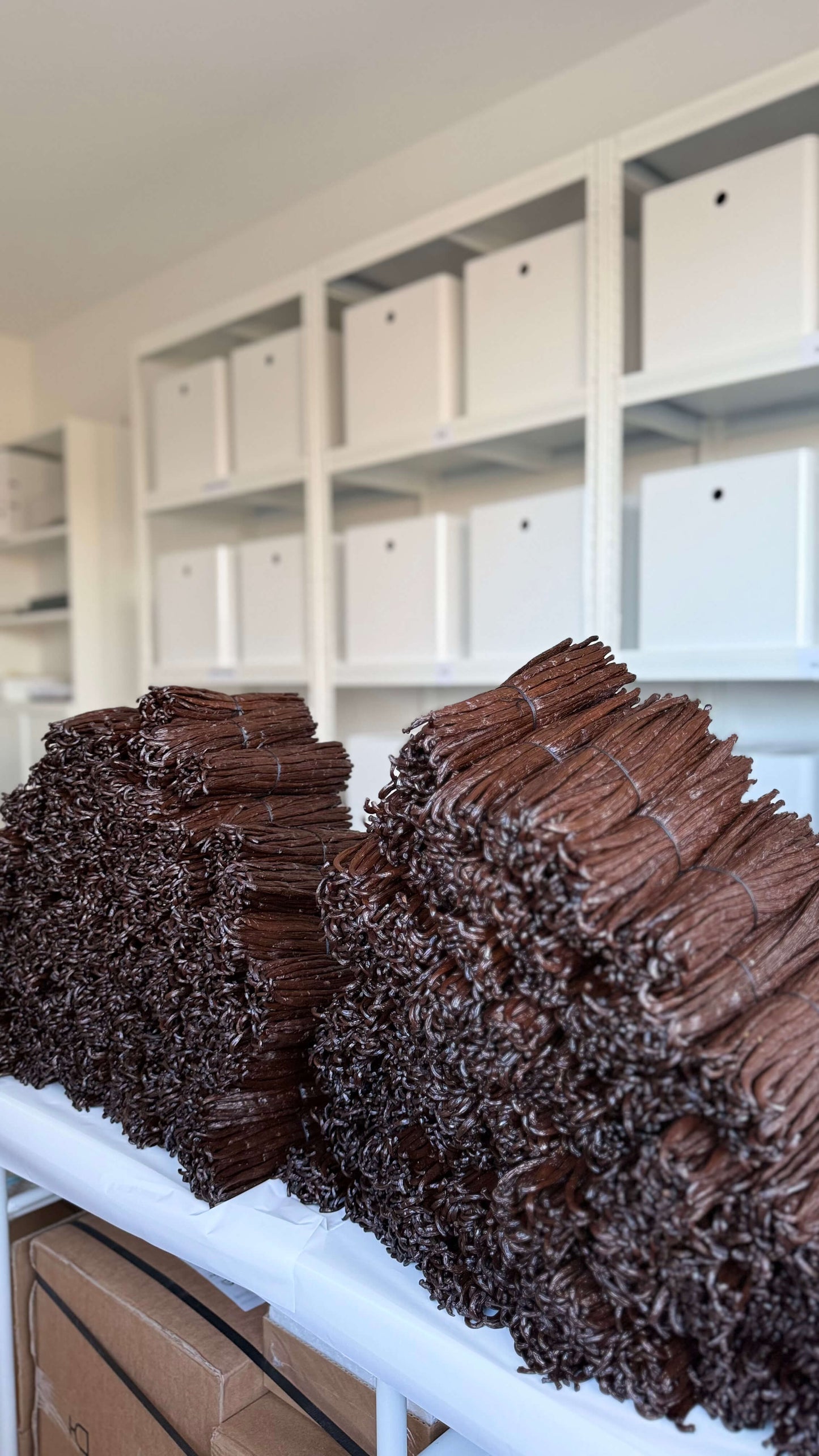 Vanilleschoten_fuer_Patisserie