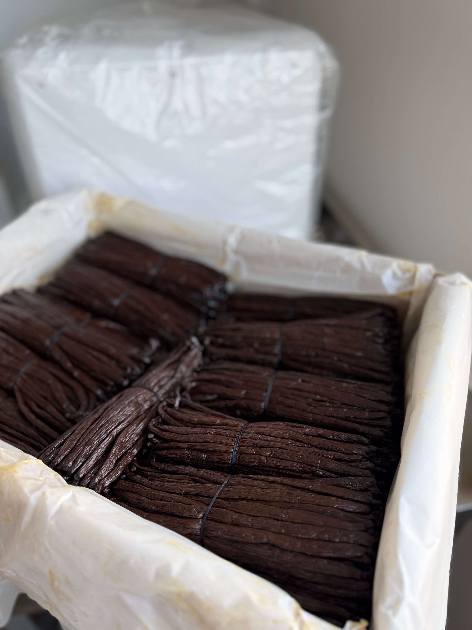 Vanilleschoten_kg_kaufen