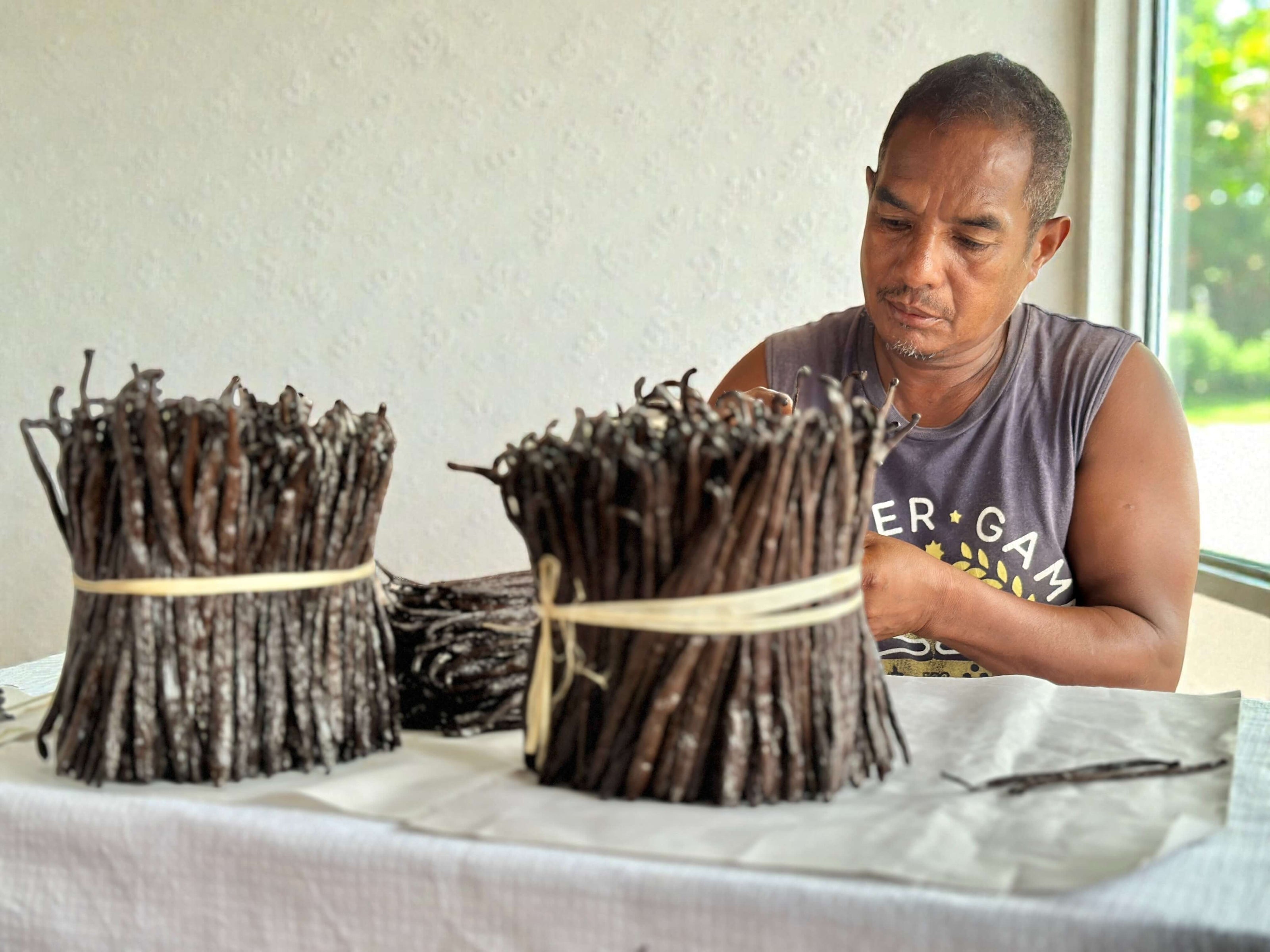 Vater führt die Triage und Qualitätskontrolle von Bourbon-Vanilleschoten im Familienbetrieb durch – Präzisionssortierung nach Feuchtigkeit und Reifegrad.